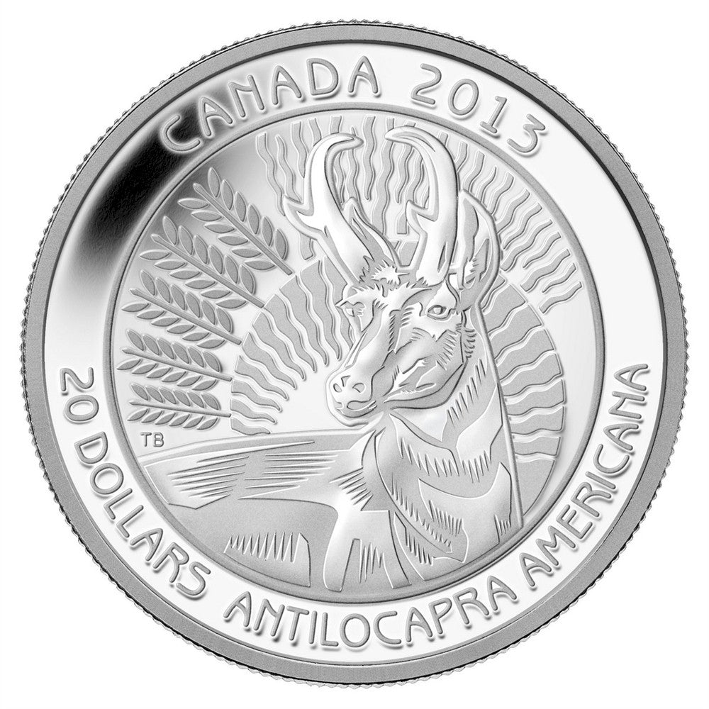2013 $20 Untamed Canada - Pronghorn Antelope (#2) Fine Silver (No Tax)