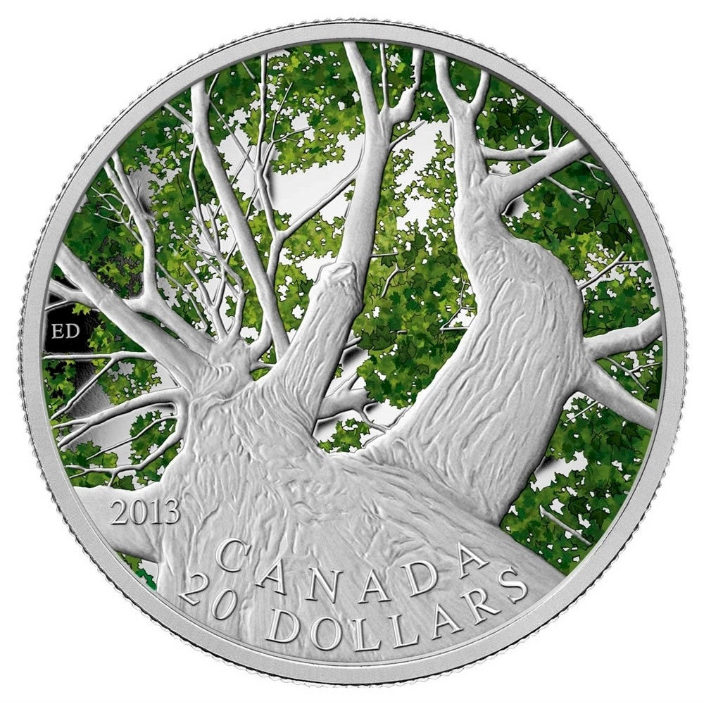 2013 $20 Canadian Maple Canopy - Spring (#1) Fine Silver (No Tax)