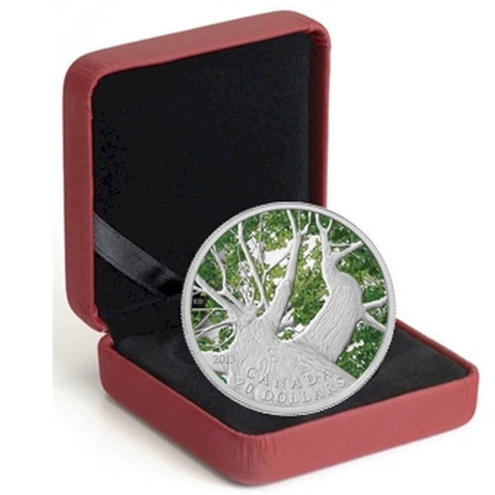 2013 $20 Canadian Maple Canopy - Spring (#1) Fine Silver (No Tax)