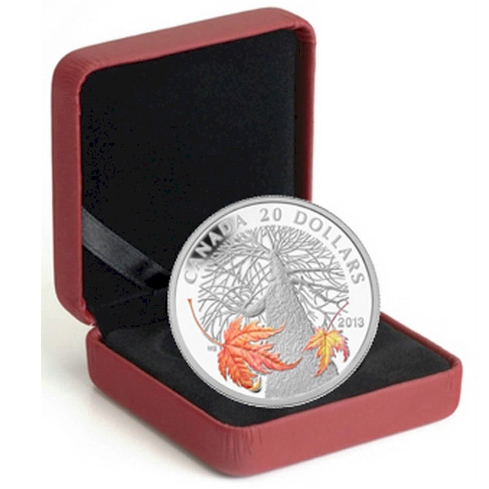 2013 $20 Canadian Maple Canopy - Autumn (#2) Fine Silver (No Tax)