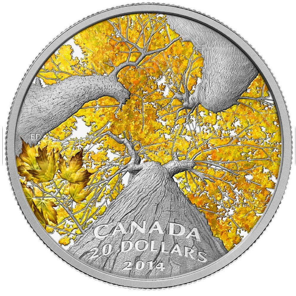 2014 $20 Canadian Maple Canopy: Autumn Allure Fine Silver (No Tax)