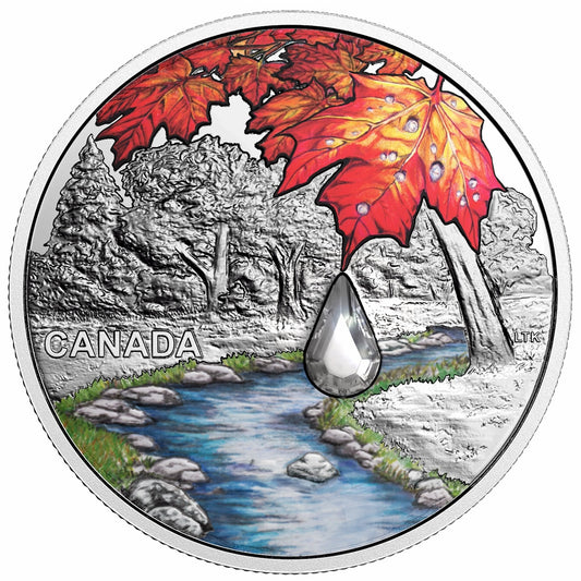 2017 Canada $20 Jewel of the Rain - Sugar Maple Leaves Fine Silver