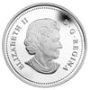 RDC 2013 Canada $20 Autumn Bliss Fine Silver Coin (No Tax) Coin is Scratched