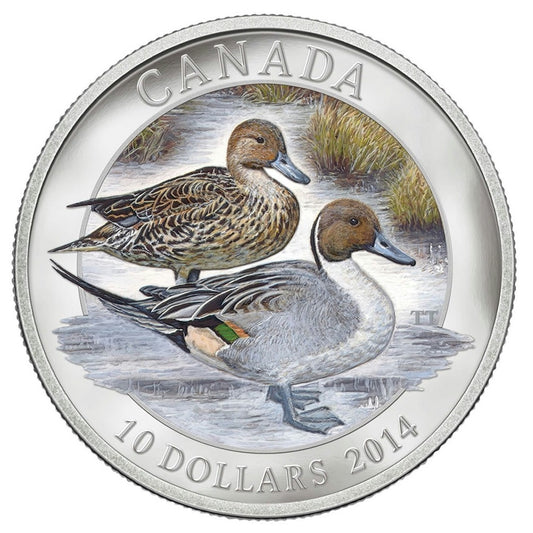 2014 Canada $10 Northern Pintail Duck Fine Silver Coin (Tax Exempt)