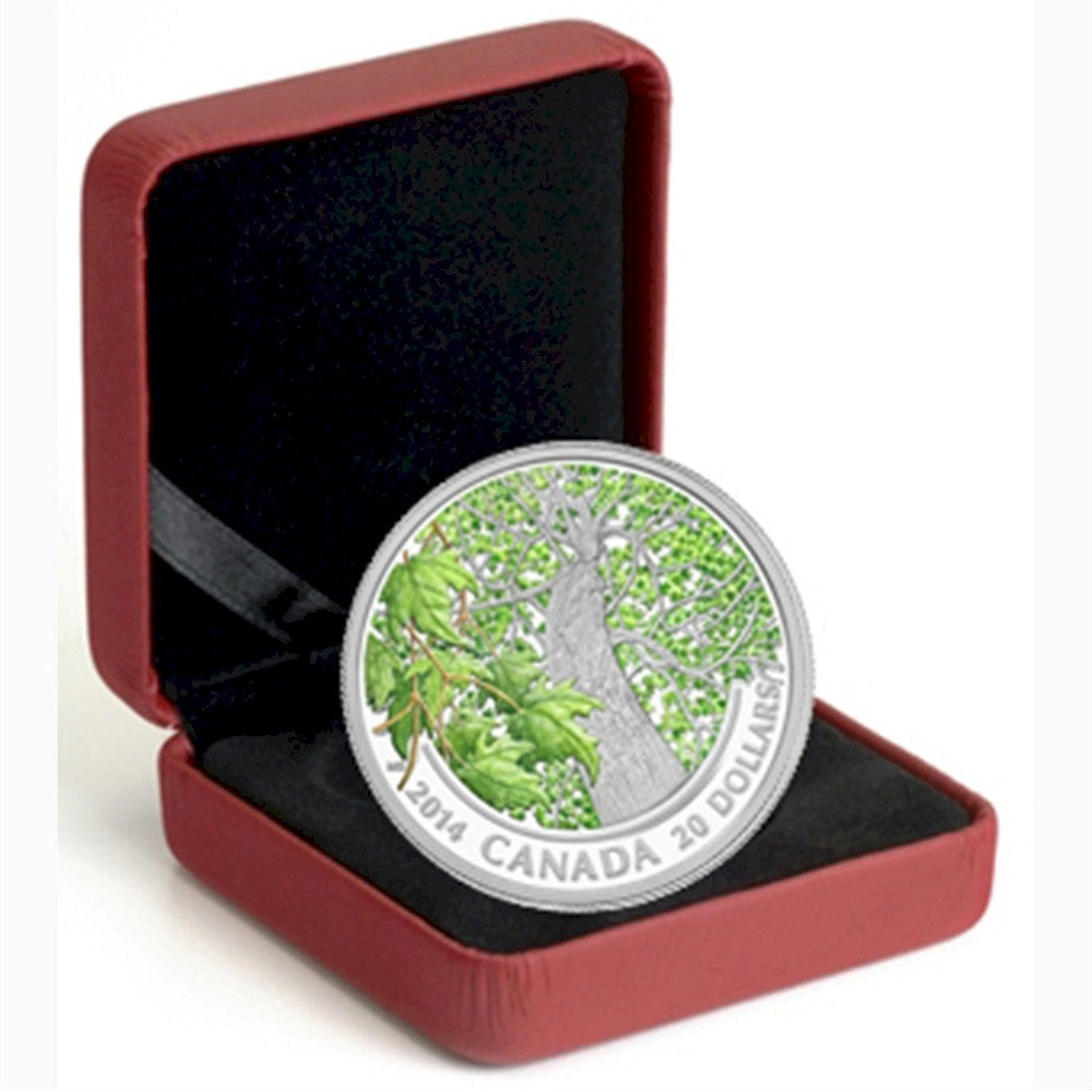 2014 $20 Canadian Maple Canopy - Spring Splendour Fine Silver (No Tax)