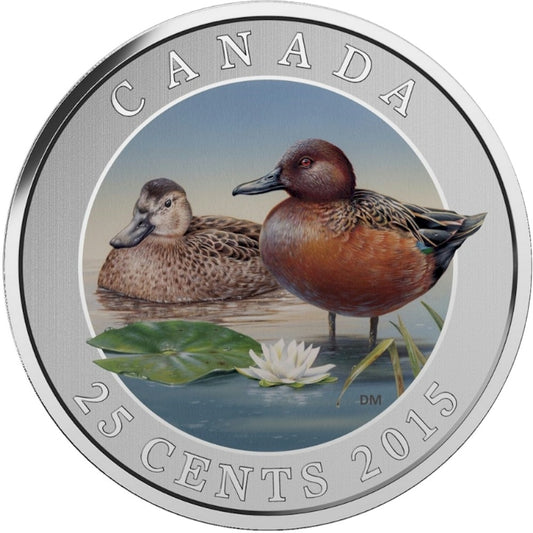 2015 25-cent Ducks of Canada - Cinnamon Teal Coloured Cupronickel Coin