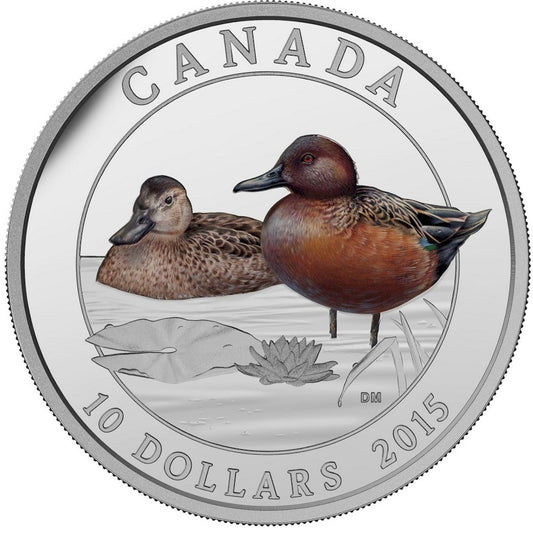 RDC 2015 $10 Ducks of Canada - Cinnamon Teal Duck Fine Silver (No Tax) Worn Case