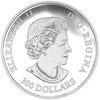 2016 Canada $300 Grizzly Bear - The Struggle Platinum Coin (No Tax)