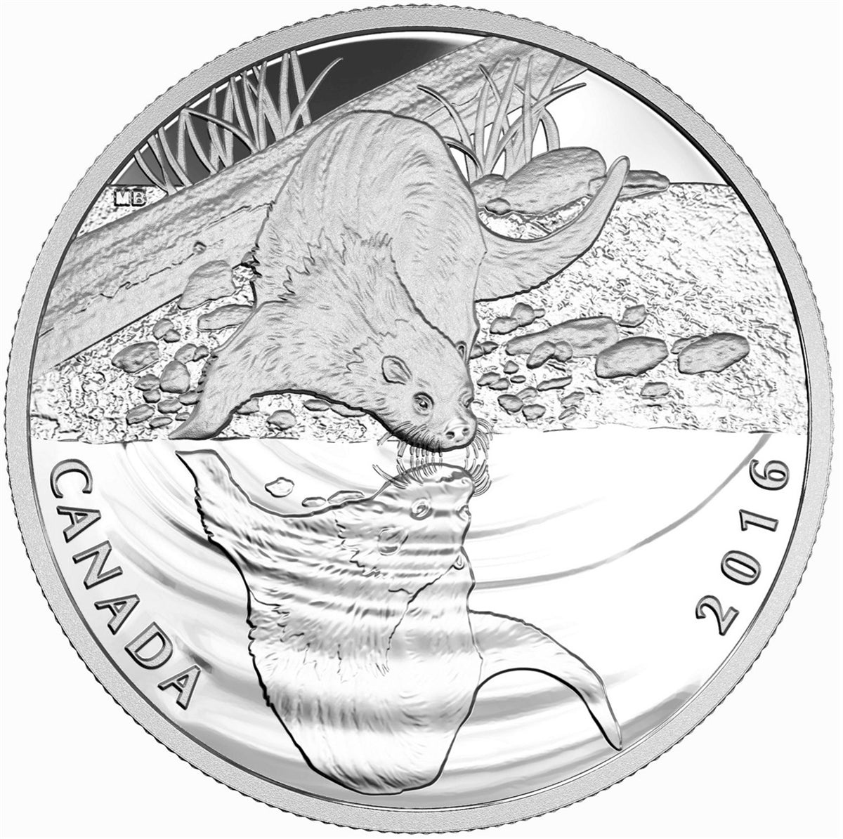 2016 Canada Reflections of Wildlife 3-coin Set in Deluxe Case (No Tax)