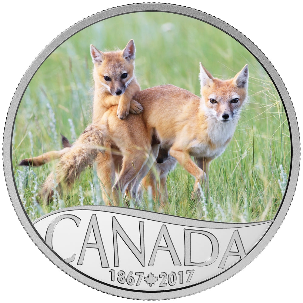 2017 $10 Celebrating Canada's 150th - Wild Swift Fox and Pups (No Tax)