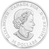 2018 Canada $30 Fireworks at the Falls 2oz. Fine Silver (No Tax)