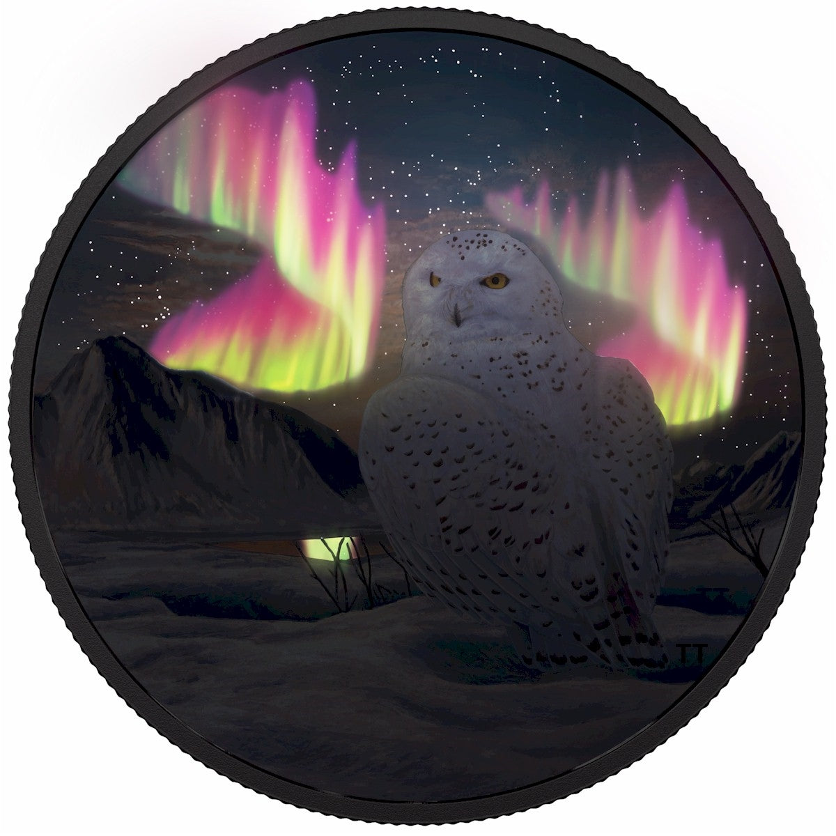 2018 Canada $30 Arctic Animals & Northern Lights - Snowy Owl Fine Silver (No Tax)