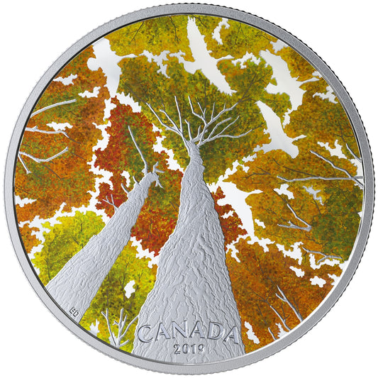 2019 $30 Canadian Canopy: The Canada Goose Fine Silver Coin (Tax Exempt)