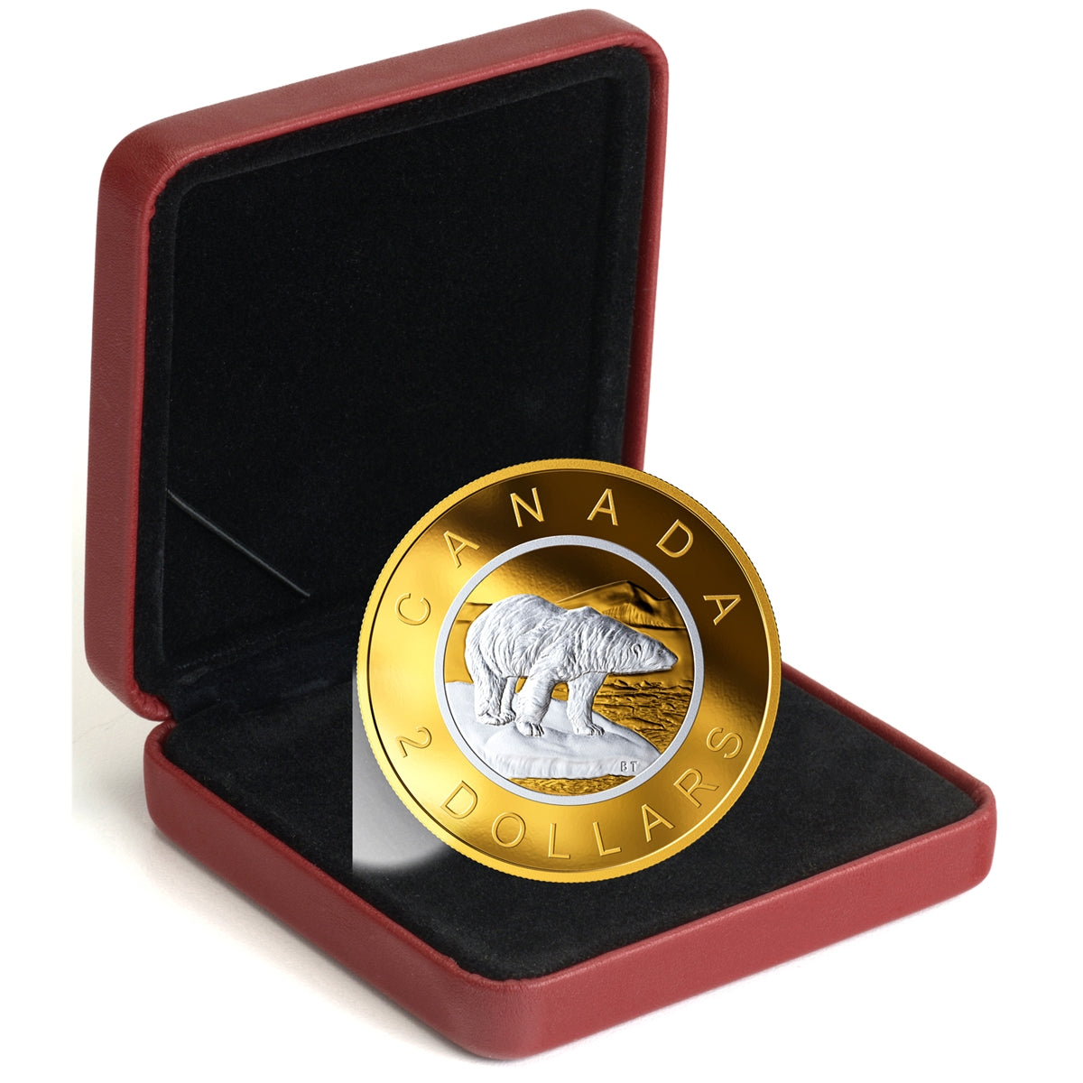 2019 Canada $2 Big Coin Reverse Gold Plated 5oz Fine Silver (No Tax)