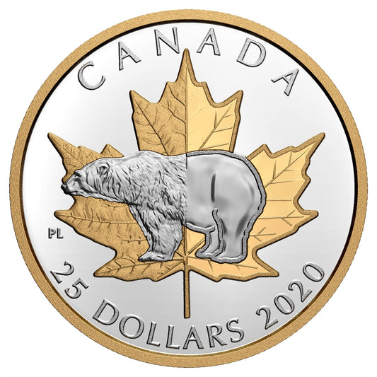 2020 Canada $25 Piedfort Timeless Icons: Polar Bear Fine Silver Coin (No Tax)