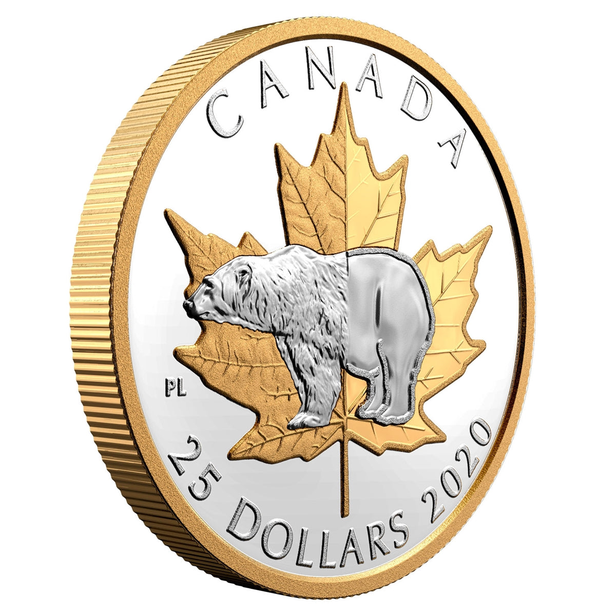 2020 Canada $25 Piedfort Timeless Icons: Polar Bear Fine Silver Coin (No Tax)