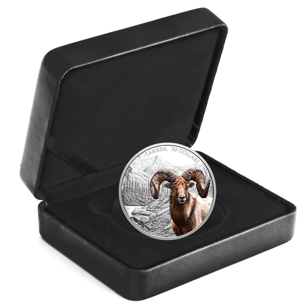 2020 Canada $30 Imposing Icons: Bighorn Sheep Fine Silver Coin (No Tax)