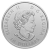 2020 $10 O Canada! Maple Leaves Fine Silver Coin (No Tax)