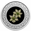 2020 $3 Floral Emblems of Canada - British Columbia Pacific Dogwood Silver (No Tax)