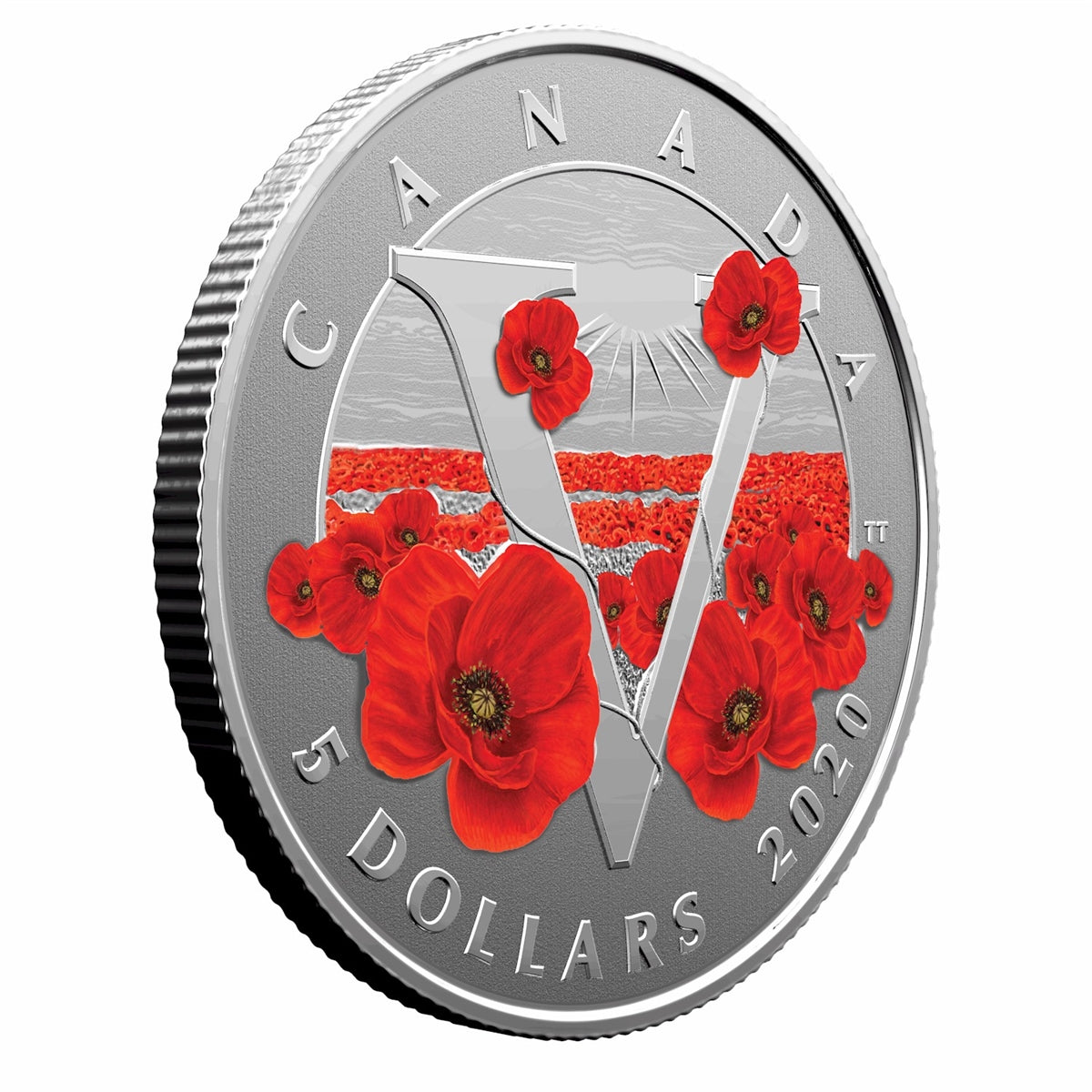 2020 Canada $5 Moments to Hold - Remembrance Day Fine Silver (No Tax)