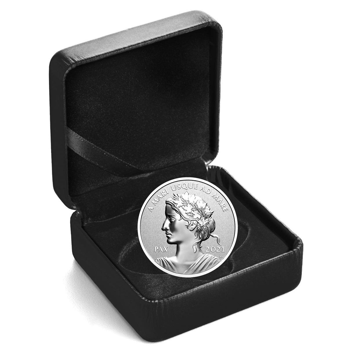 2021 Canada $1 Peace Dollar Fine Silver (TAX Exempt)