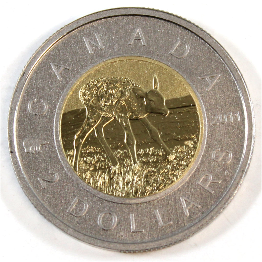 2011 Elk Canada Two Dollar Specimen $