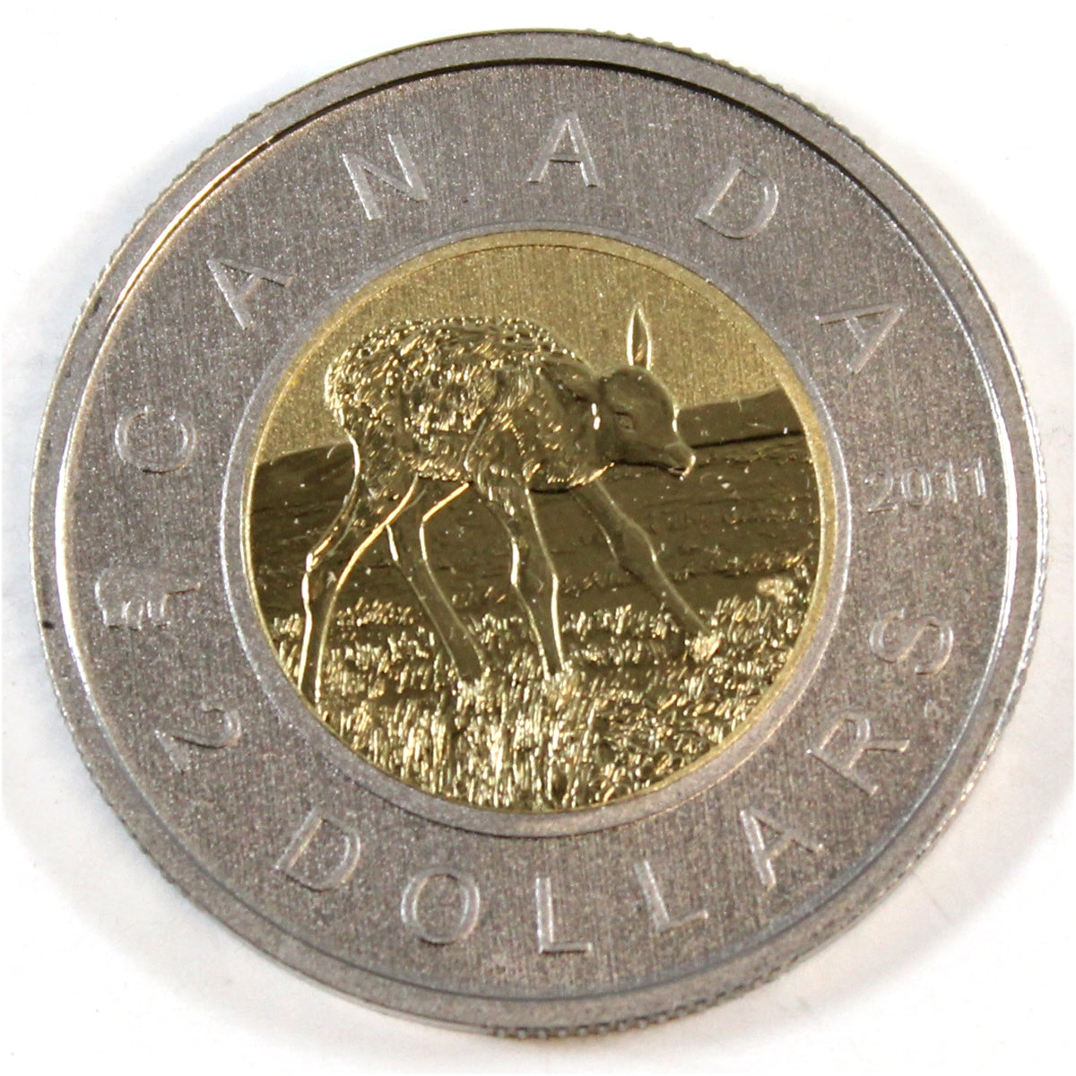 2011 Elk Canada Two Dollar Specimen $