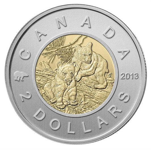 2013 Black Bear Cubs Canada Two Dollar Specimen