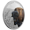 2021 Canada $30 Imposing Icons - Bison Fine Silver (No Tax)