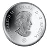 RDC 2007 Canada $30 Panoramic Camera: Niagara Falls Sterling Silver (impaired)