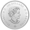 2021 Canada $100 Our National Colours 10oz Fine Silver (No Tax)