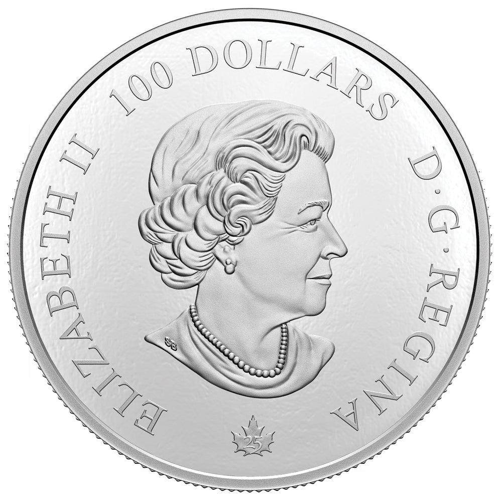 2021 Canada $100 Our National Colours 10oz Fine Silver (No Tax)