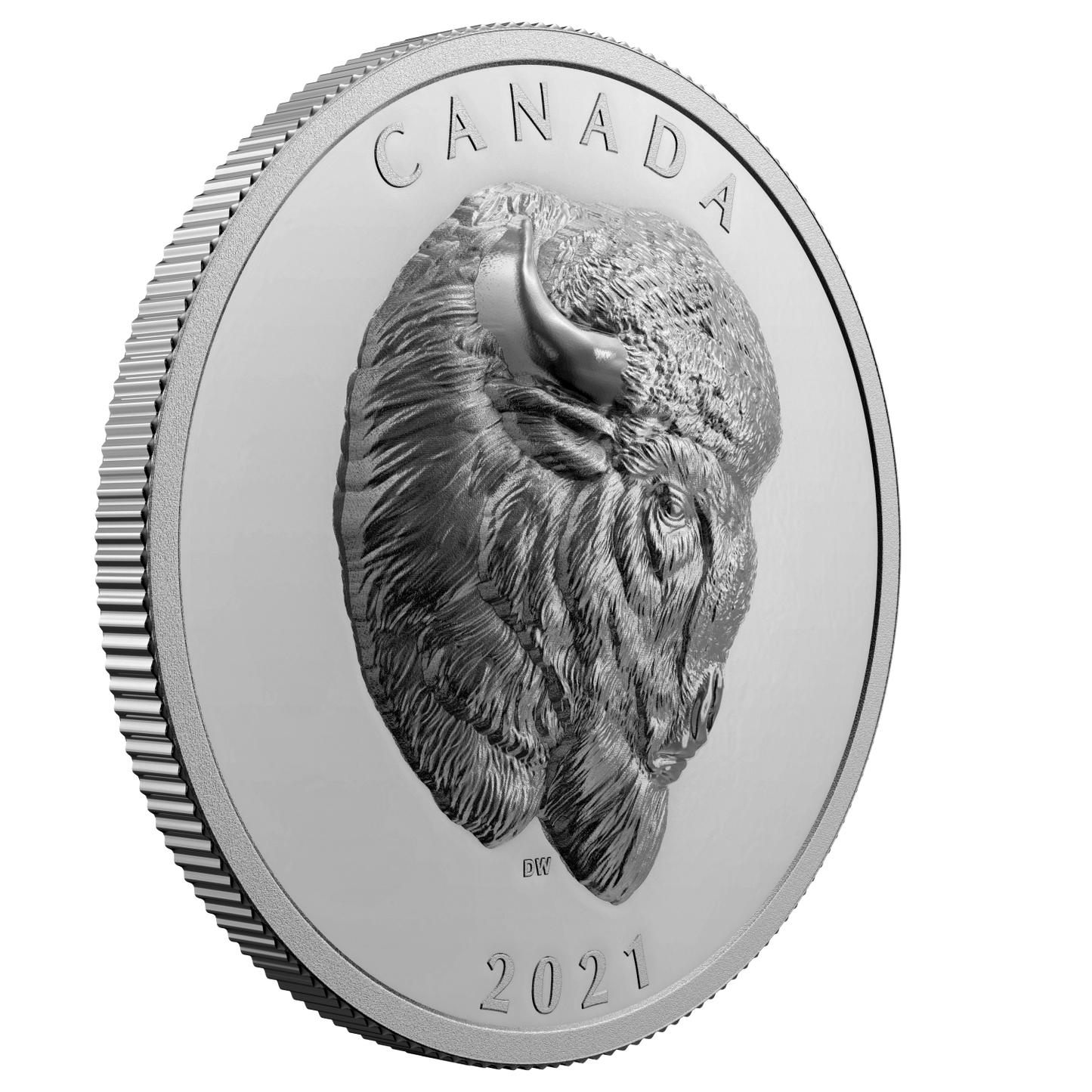 2021 Canada $25 Bold Bison Extraordinarily High Relief Fine Silver (No Tax)