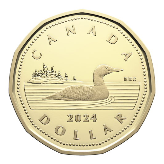 2024 Canada Loon Dollar Proof (non-silver)