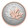 2024 Canada $300 Maple Leaf Forever Pure Platinum (No Tax)