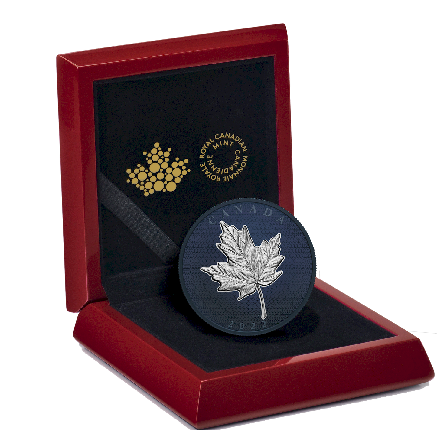 2022 Canada $50 Maple Leaves in Motion 5oz. Silver with Blue Rhodium Plating (No Tax)