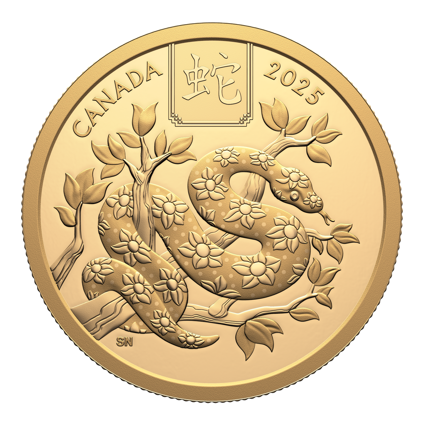 (Pre-Order) 2025 Canada $100 Lunar Year of the Snake Pure Gold Coin (No Tax)