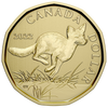 2022 Swift Fox Canada Loon Dollar Specimen$