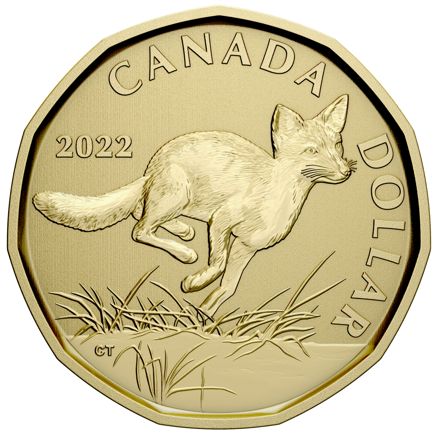 2022 Swift Fox Canada Loon Dollar Specimen$