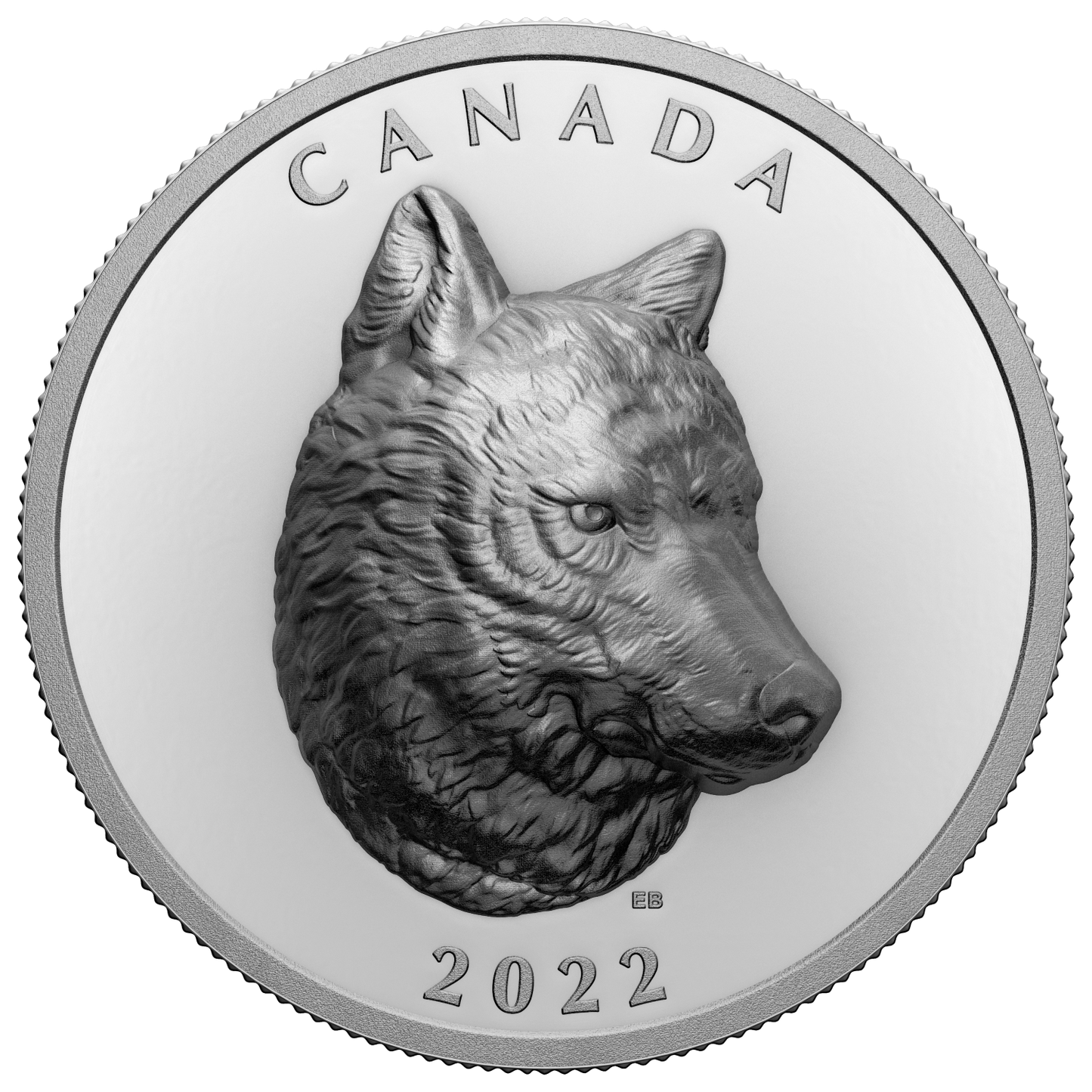 2022 Canada $25 Timber Wolf Extraordinary High Relief Fine Silver (No Tax)