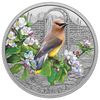 2022 Canada $20 Colourful Birds: Cedar Waxwing Fine Silver (No Tax)