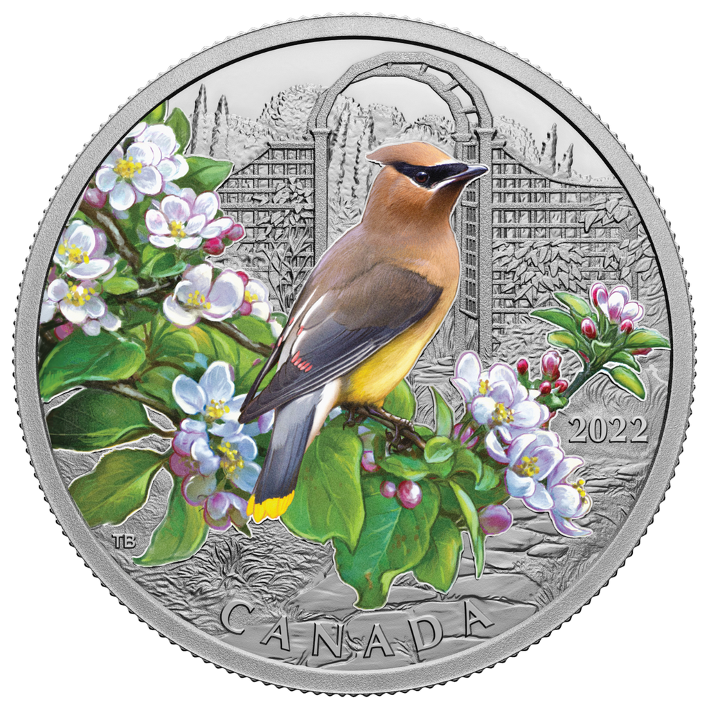 2022 Canada $20 Colourful Birds: Cedar Waxwing Fine Silver (No Tax)