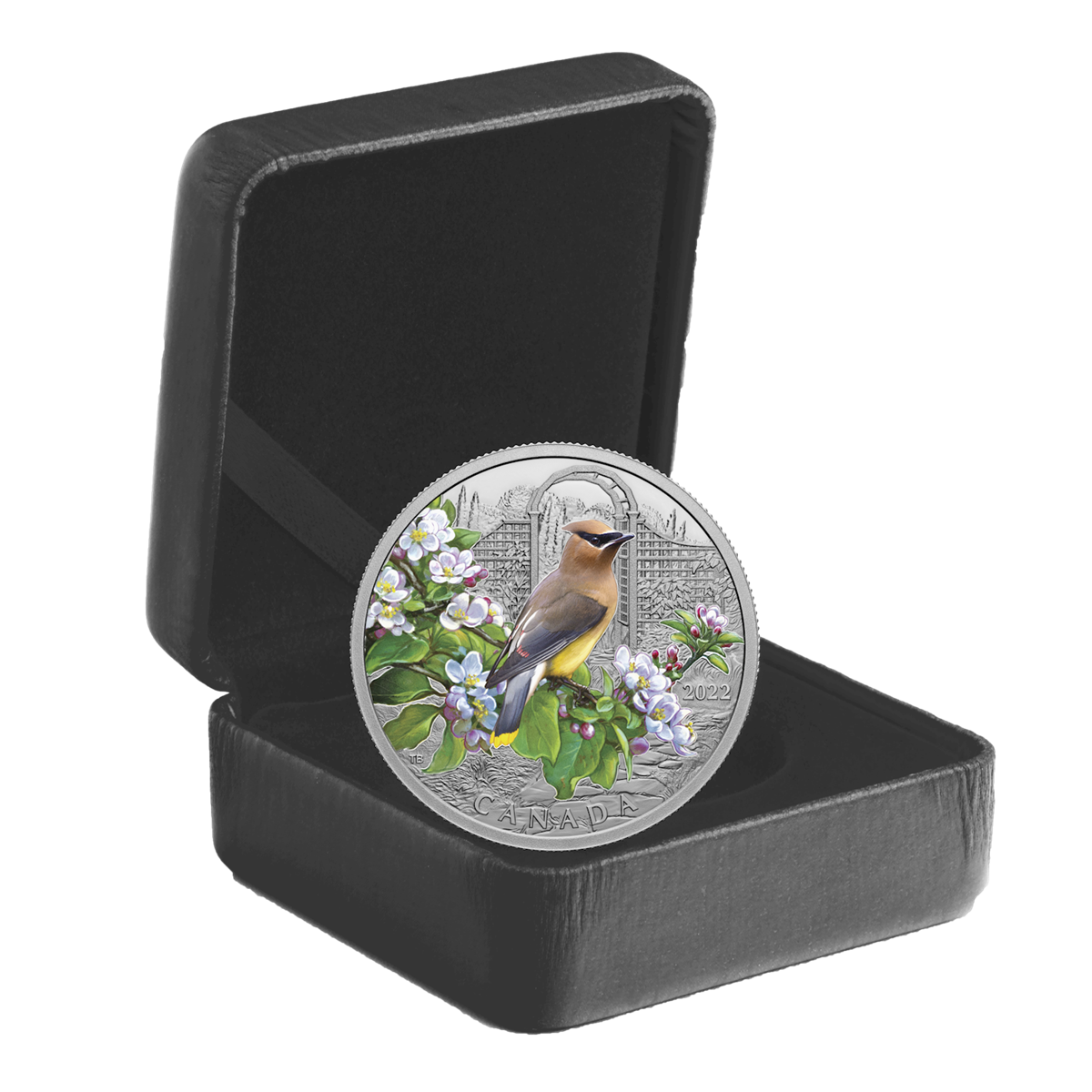 2022 Canada $20 Colourful Birds: Cedar Waxwing Fine Silver (No Tax)