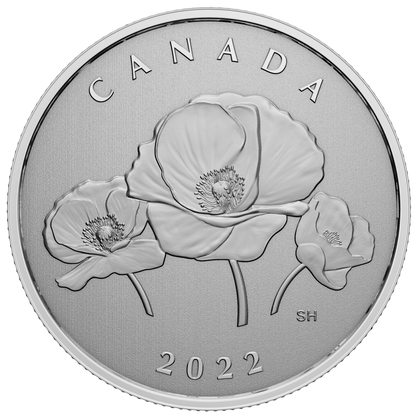 2022 Canada $5 Moments to Hold - Remembrance Day Fine Silver (No Tax)