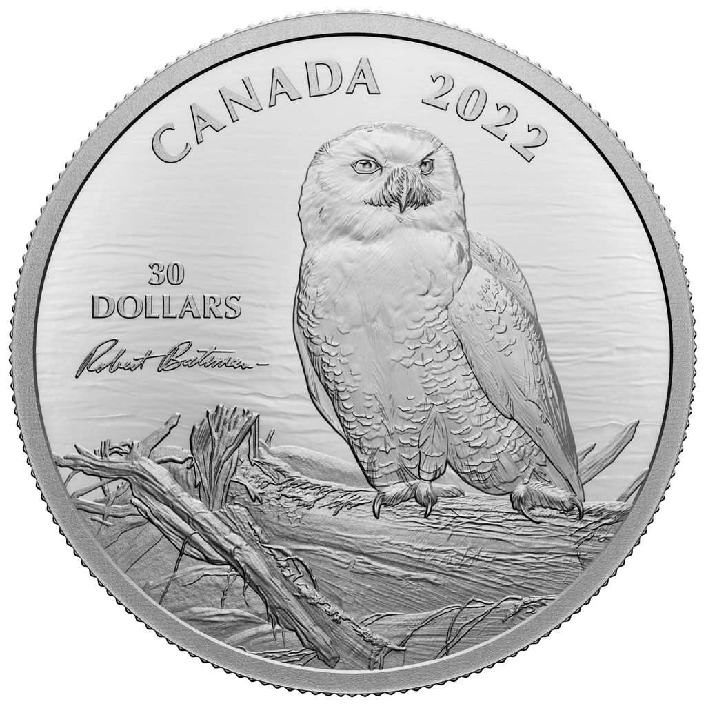 2022 Canada $30 Snowy Owl on Driftwood by Robert Bateman Fine Silver (No Tax)