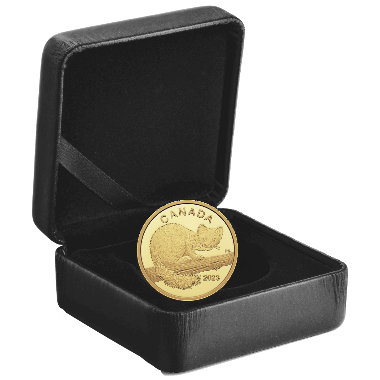 2023 Canada $10 The Curious Marten  1/20oz. Pure Gold Coin (No Tax)