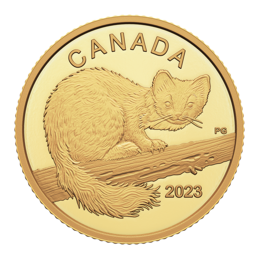 2023 Canada $10 The Curious Marten  1/20oz. Pure Gold Coin (No Tax)