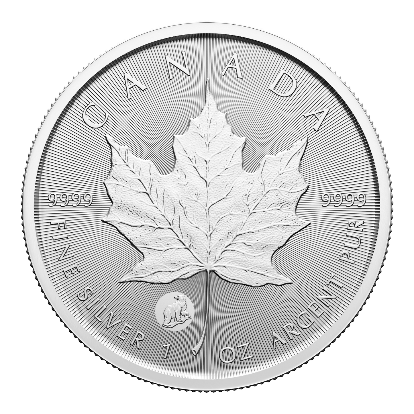 2024 Canada $5 Polar Bear Privy Treasured Silver Maple Leaf First Strikes (No Tax)