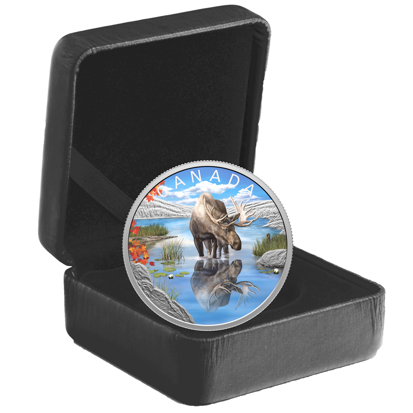 (Pre-Order) 2024 Canada $20 Wildlife Reflections: Moose Fine Silver (No Tax)