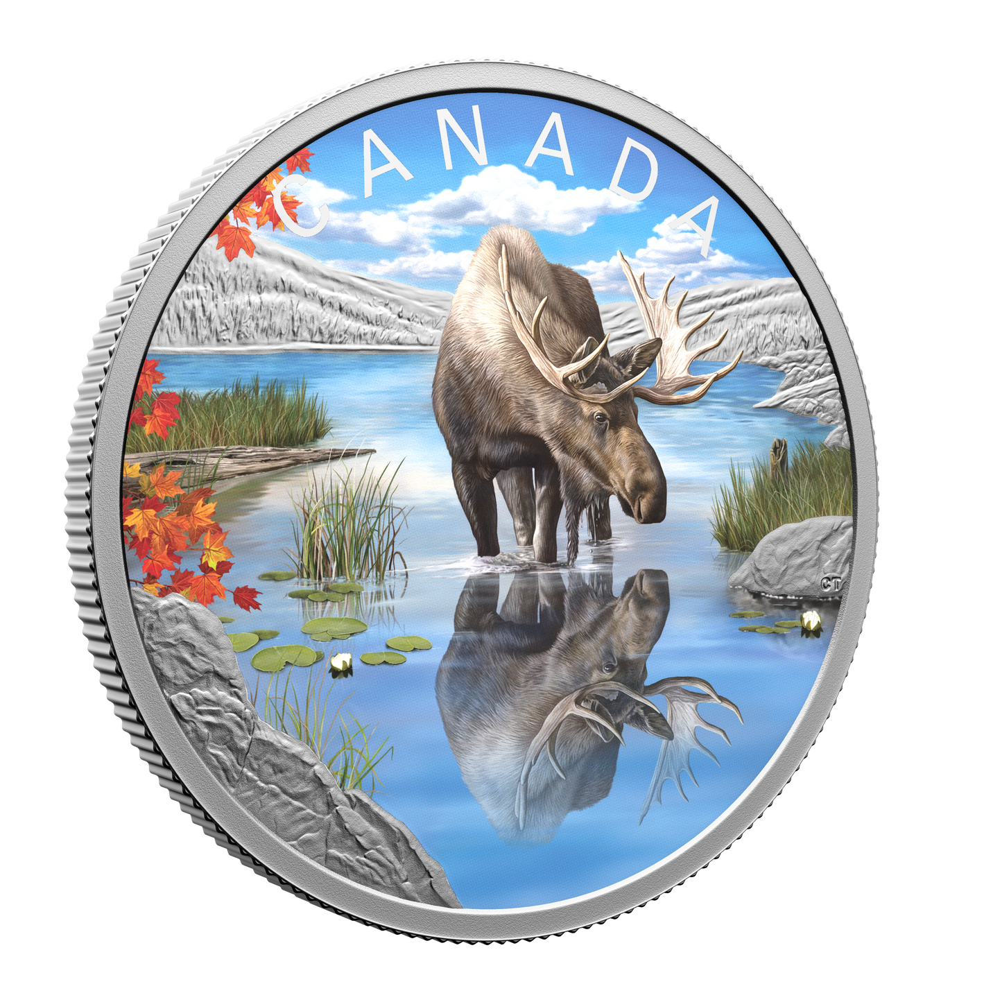 (Pre-Order) 2024 Canada $20 Wildlife Reflections: Moose Fine Silver (No Tax)